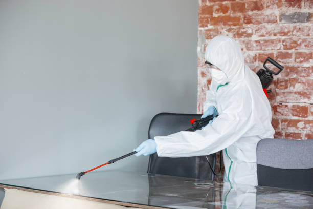 Best Residential Mold Inspection & Testing in Preston Heights, IL